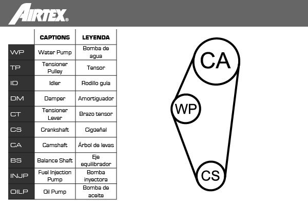 AIRTEX Водяной насос + комплект зубчатого ремня WPK-116701