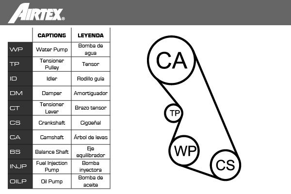 AIRTEX Водяной насос + комплект зубчатого ремня WPK-136102