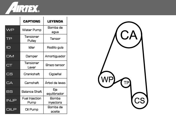 AIRTEX Водяной насос + комплект зубчатого ремня WPK-153001
