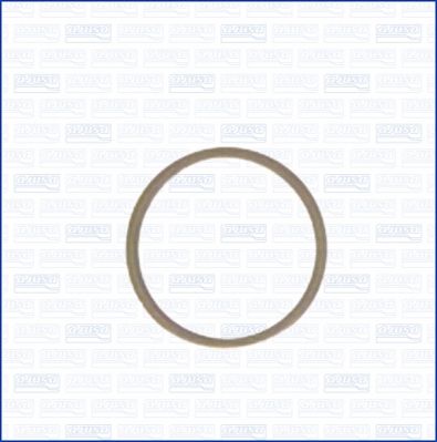 AJUSA Уплотнительное кольцо, резьбовая пробка маслосливн 22004800