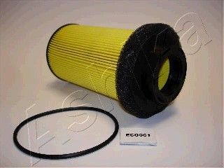 ASHIKA Degvielas filtrs 30-ECO001