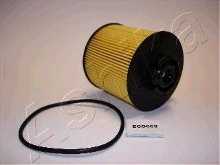 ASHIKA Degvielas filtrs 30-ECO003