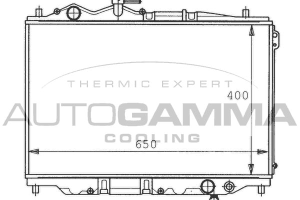 AUTOGAMMA Radiators, Motora dzesēšanas sistēma 100498