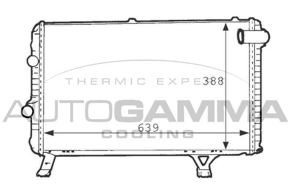 AUTOGAMMA Радиатор, охлаждение двигателя 101235