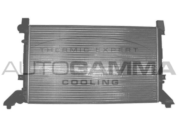 AUTOGAMMA Radiators, Motora dzesēšanas sistēma 101393
