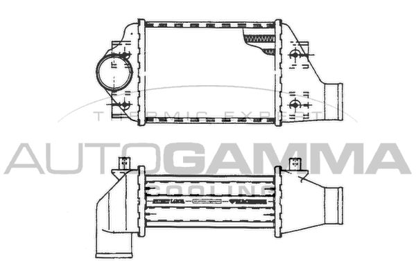 AUTOGAMMA Интеркулер 101481