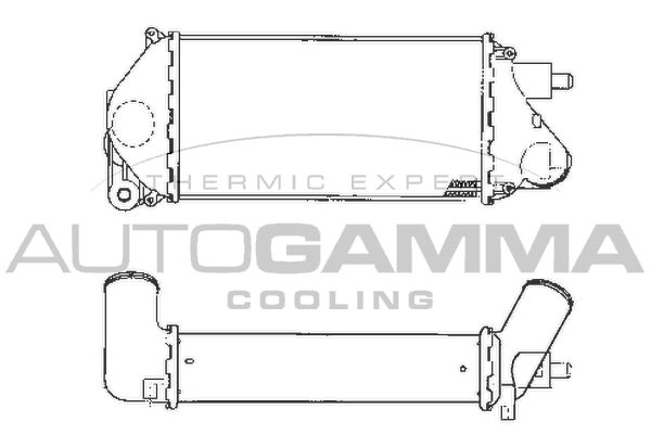AUTOGAMMA Интеркулер 101907