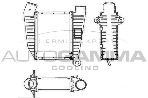 AUTOGAMMA Интеркулер 101937