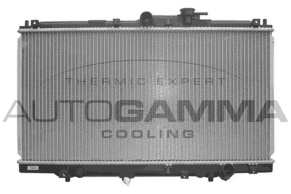 AUTOGAMMA Radiators, Motora dzesēšanas sistēma 101995