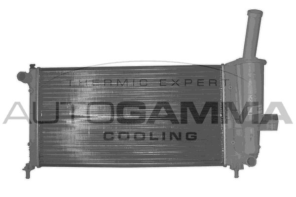AUTOGAMMA Radiators, Motora dzesēšanas sistēma 102059