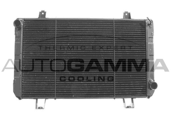 AUTOGAMMA Радиатор, охлаждение двигателя 102095