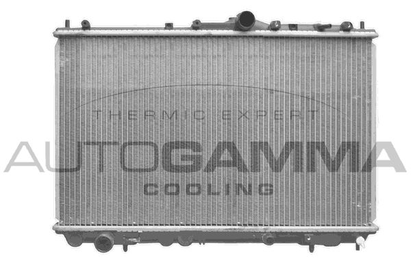 AUTOGAMMA Radiators, Motora dzesēšanas sistēma 102384