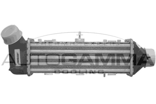 AUTOGAMMA Интеркулер 102407