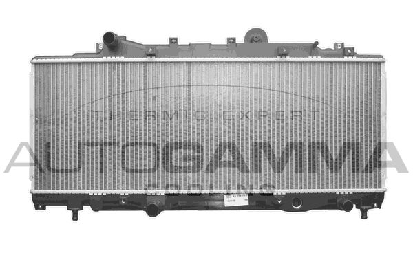 AUTOGAMMA Радиатор, охлаждение двигателя 102914
