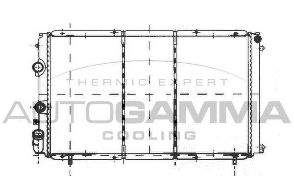AUTOGAMMA Радиатор, охлаждение двигателя 103002