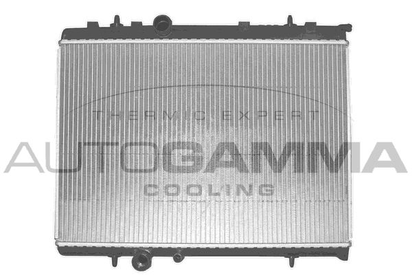 AUTOGAMMA Radiators, Motora dzesēšanas sistēma 103171