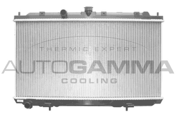 AUTOGAMMA Radiators, Motora dzesēšanas sistēma 103498