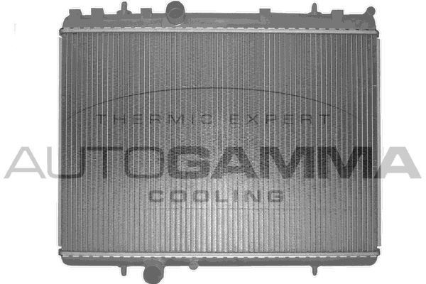 AUTOGAMMA Radiators, Motora dzesēšanas sistēma 103640