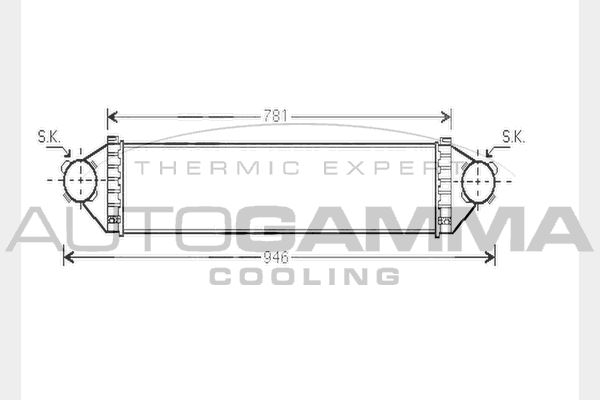 AUTOGAMMA Интеркулер 104328