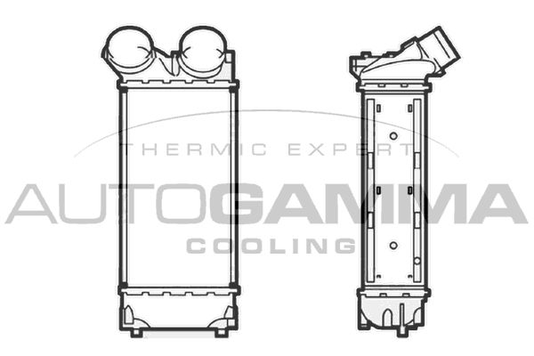 AUTOGAMMA Интеркулер 104491