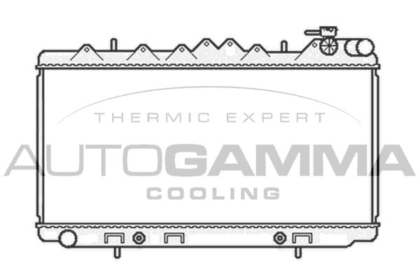 AUTOGAMMA Радиатор, охлаждение двигателя 104693
