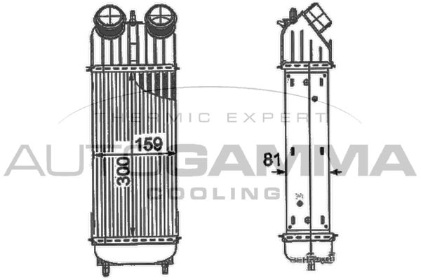 AUTOGAMMA Интеркулер 105121