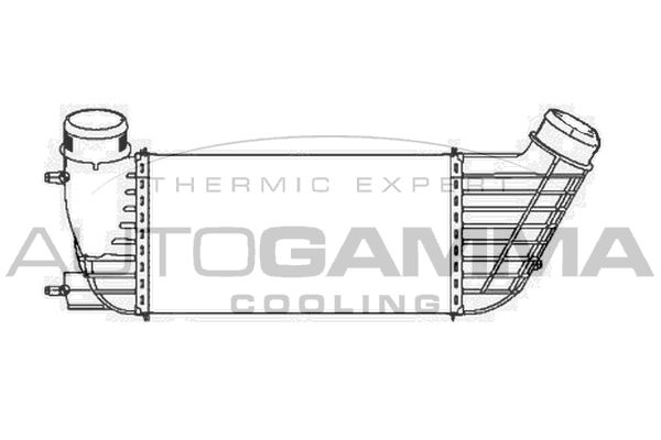 AUTOGAMMA Интеркулер 105253