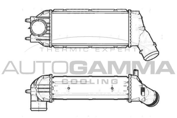 AUTOGAMMA Starpdzesētājs 105426