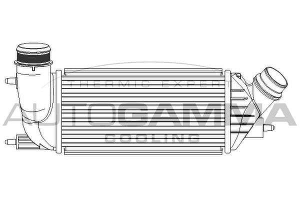 AUTOGAMMA Starpdzesētājs 105720