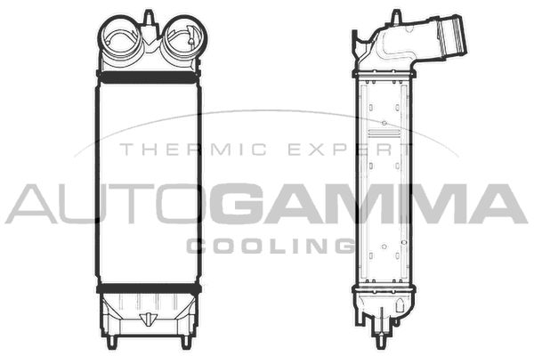 AUTOGAMMA Интеркулер 105888