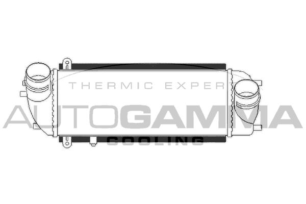 AUTOGAMMA Интеркулер 107027