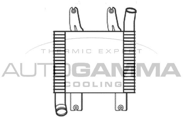 AUTOGAMMA Starpdzesētājs 107071