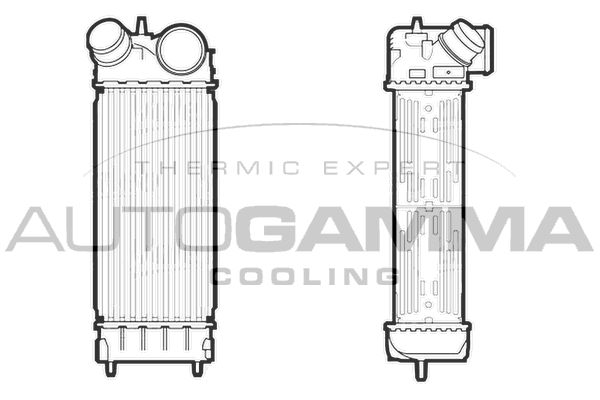AUTOGAMMA Starpdzesētājs 107116