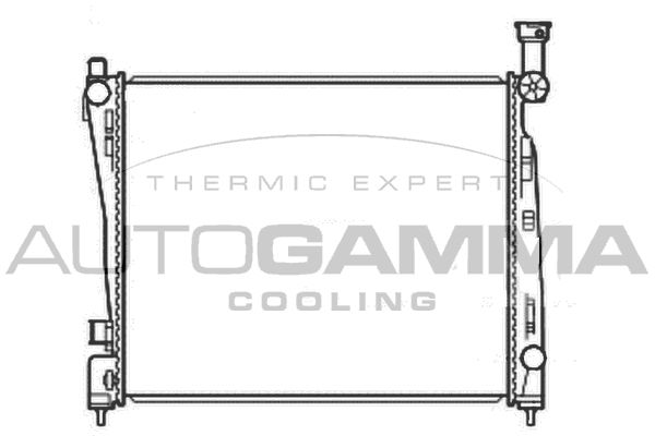 AUTOGAMMA Радиатор, охлаждение двигателя 107221