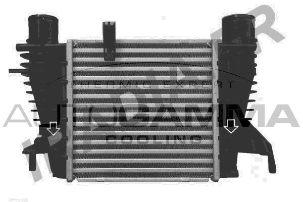 AUTOGAMMA Starpdzesētājs 107257