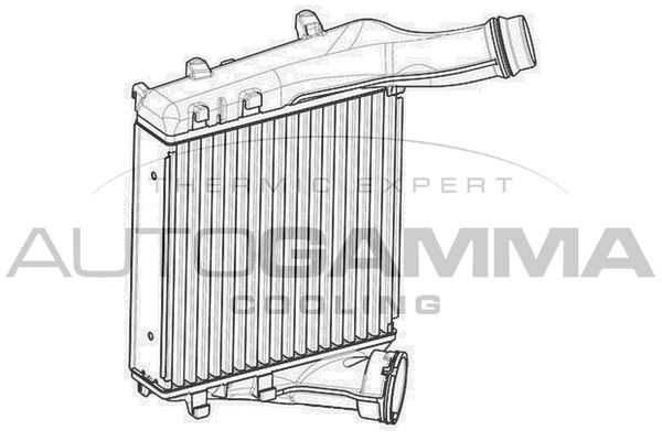 AUTOGAMMA Интеркулер 107553