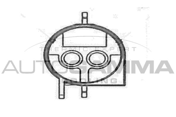 AUTOGAMMA Вентилятор, охлаждение двигателя GA200459