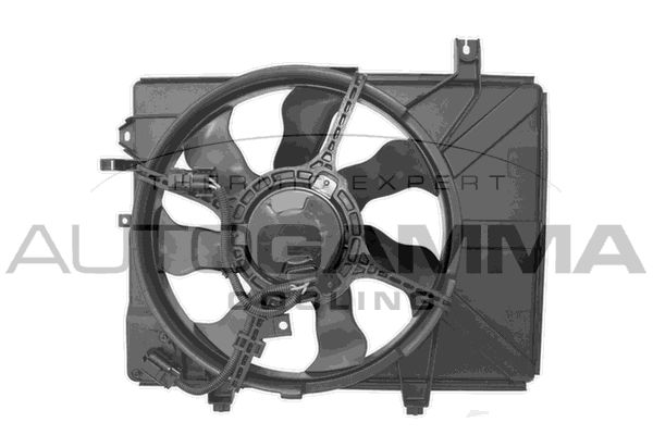 AUTOGAMMA Ventilators, Motora dzesēšanas sistēma GA200705