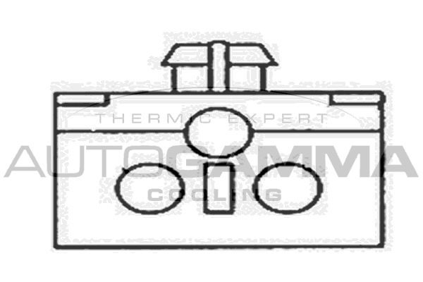 AUTOGAMMA Вентилятор, охлаждение двигателя GA201281