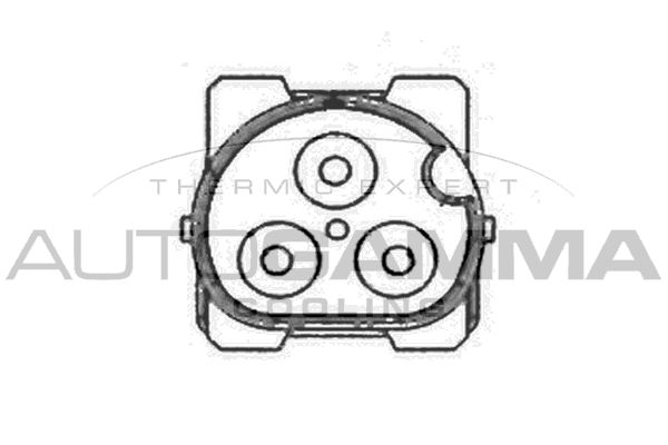 AUTOGAMMA Ventilators, Motora dzesēšanas sistēma GA201796