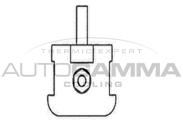 AUTOGAMMA Вентилятор, охлаждение двигателя GA204413