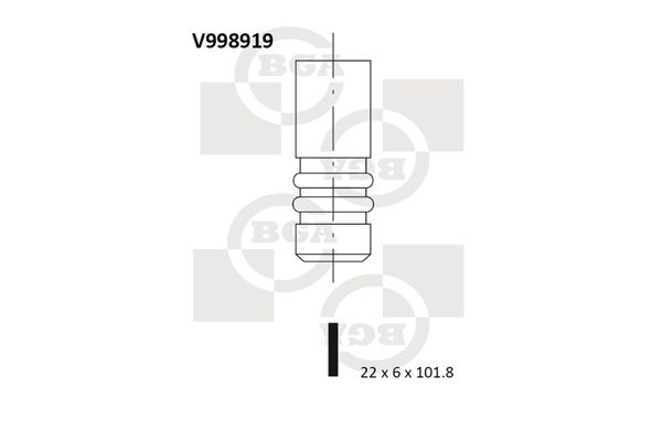 BGA Izplūdes vārsts V998919