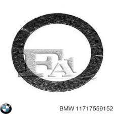BMW Blīve, Izplūdes gāzu recirkulācijas vārsts 11717559152