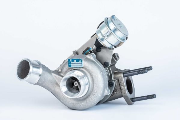 BORGWARNER Kompresors, Turbopūte 53039880144