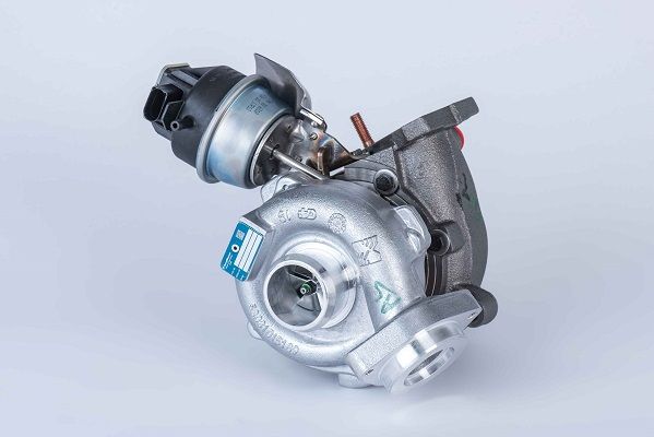 BORGWARNER Kompresors, Turbopūte 53039880189