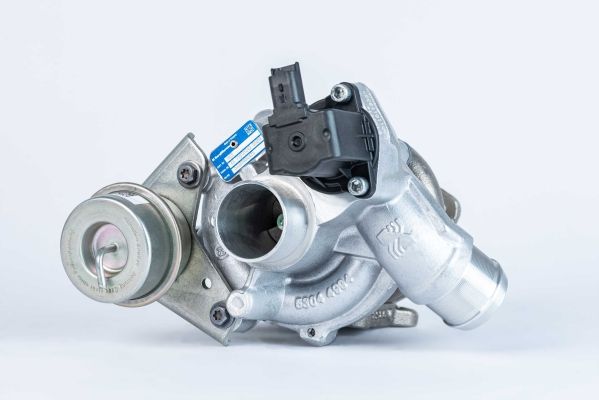 BORGWARNER Kompresors, Turbopūte 53039880425