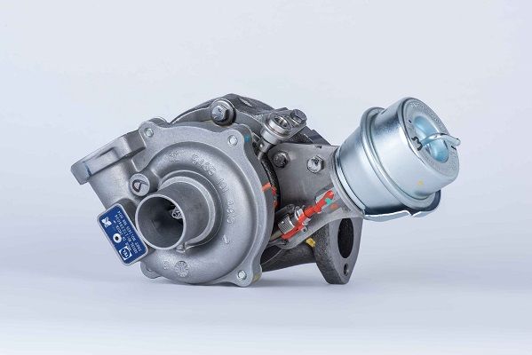 BORGWARNER Kompresors, Turbopūte 54359880014