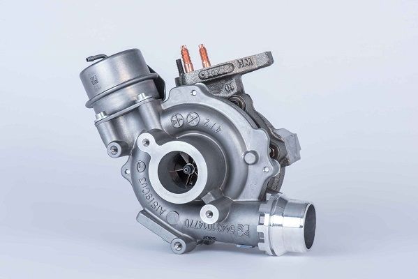 BORGWARNER Kompresors, Turbopūte 54389880006