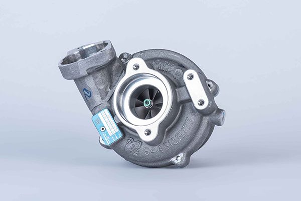 BORGWARNER Kompresors, Turbopūte 54399880089