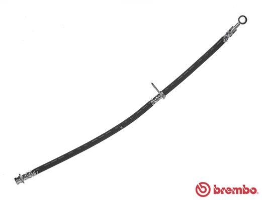 BREMBO Bremžu šļūtene T 28 097